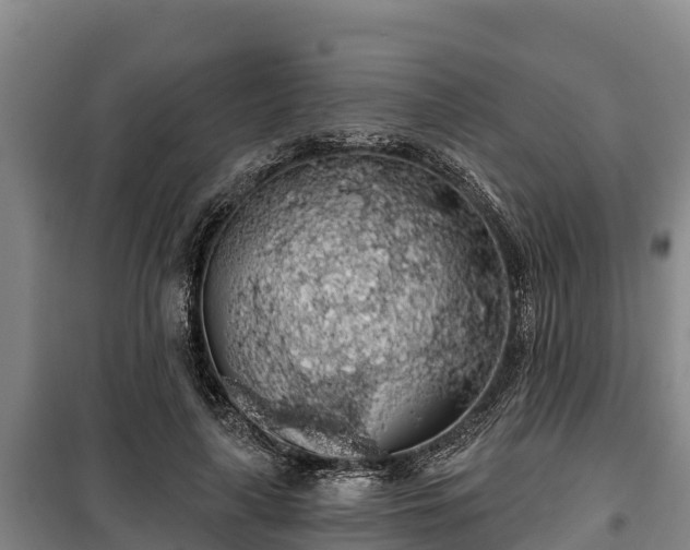 X0000100200643200806061323