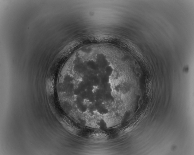 X0000100200644200806061323