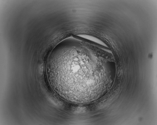 X0000100200647200806061323