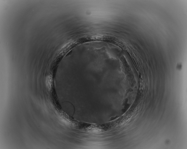 X0000100200648200806061323