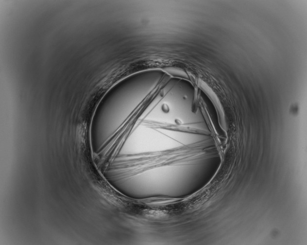 X0000100200649200806061323