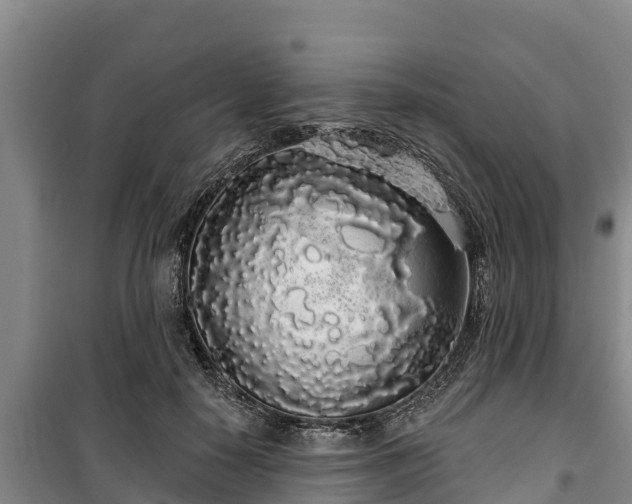 X0000100200650200806061323