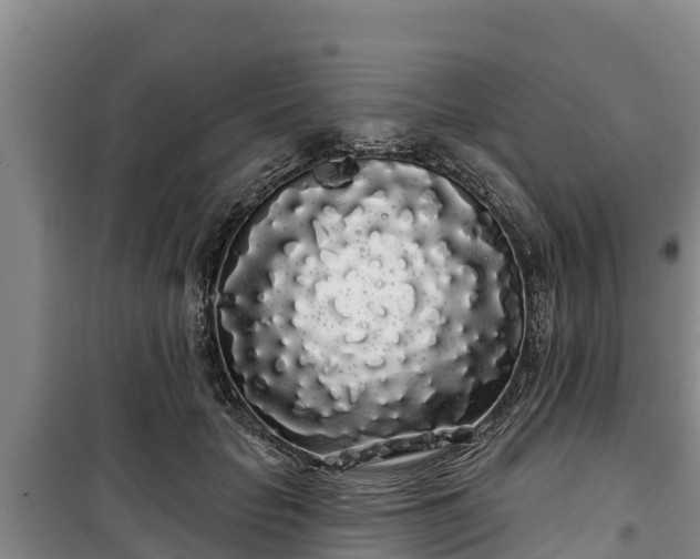 X0000100200653200806061323