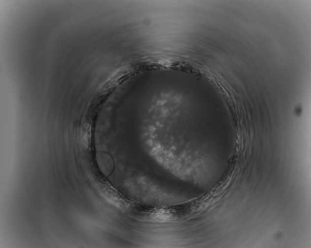 X0000100200656200806061323