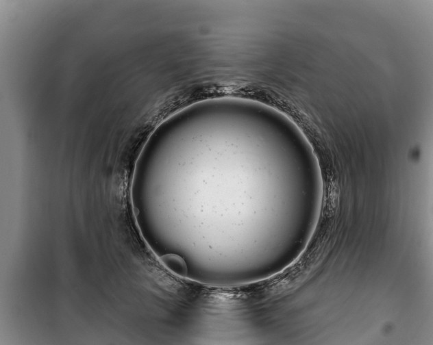 X0000100200657200806061323