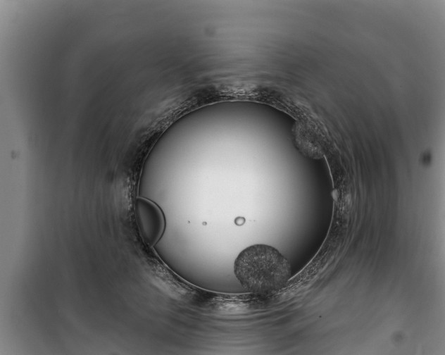 X0000100200658200806061323