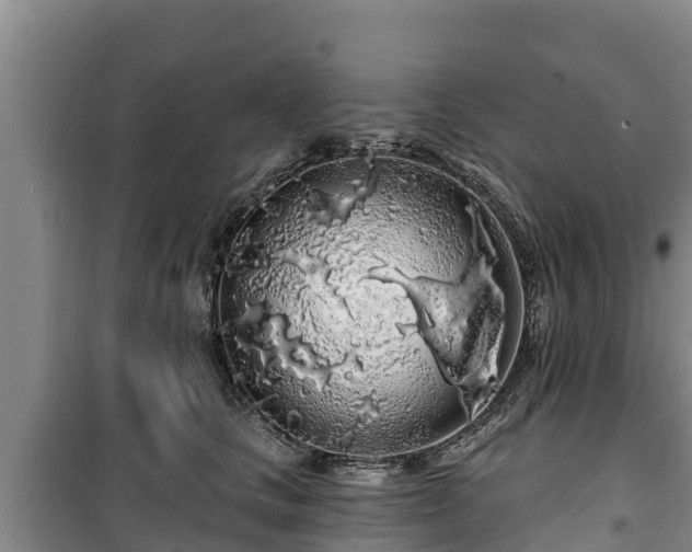 X0000100200661200806061323