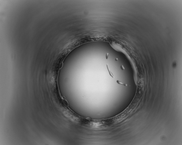 X0000100200662200806061323