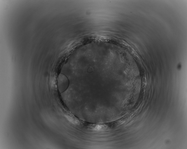 X0000100200663200806061323