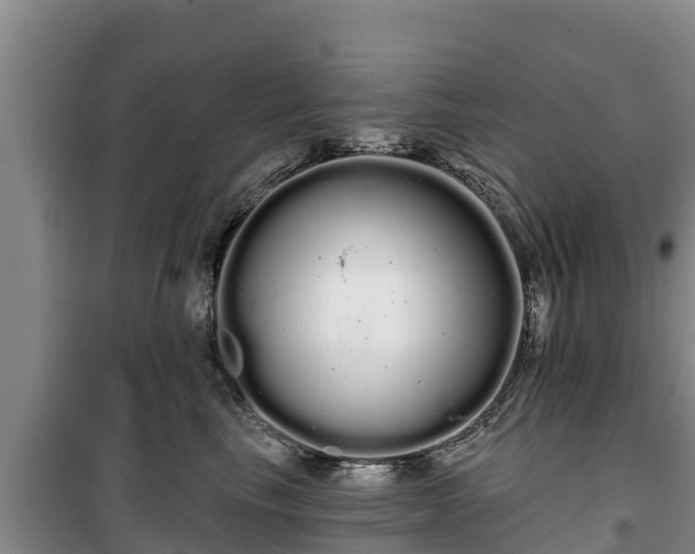 X0000100200665200806061324