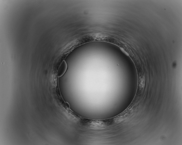 X0000100200666200806061324