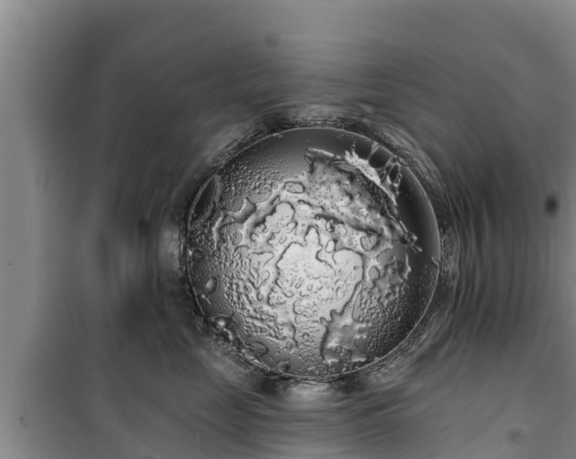 X0000100200669200806061324