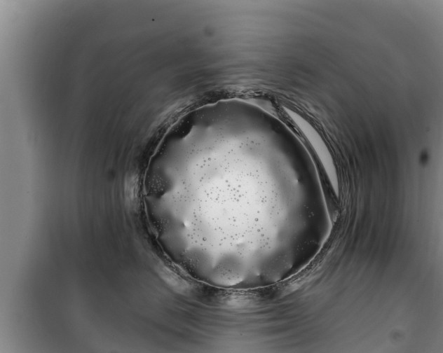 X0000100200670200806061324