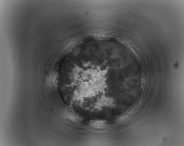 X0000100200671200806061324