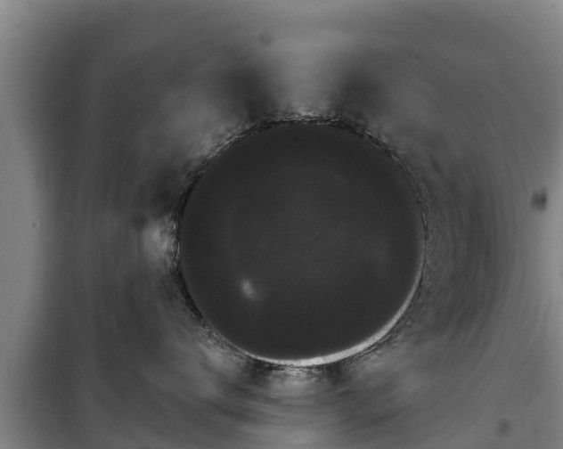 X0000100200672200806061324