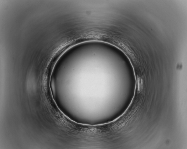 X0000100200675200806061323