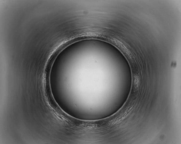 X0000100200676200806061323