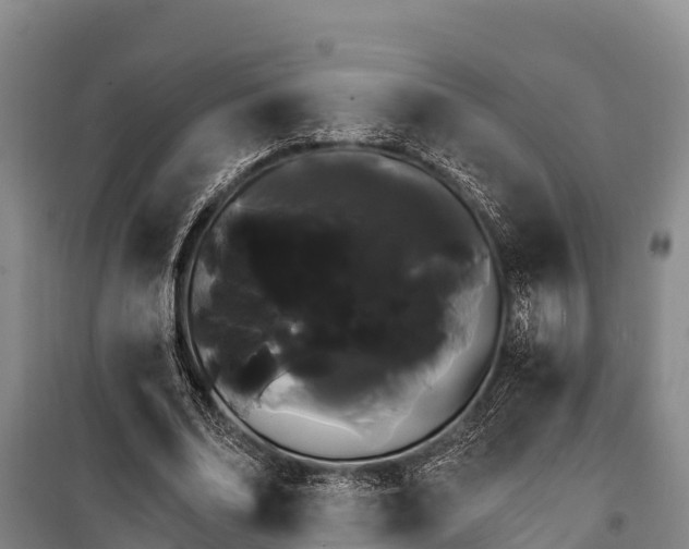 X0000100200678200806061323