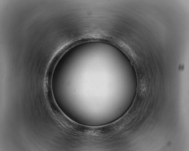 X0000100200680200806061323