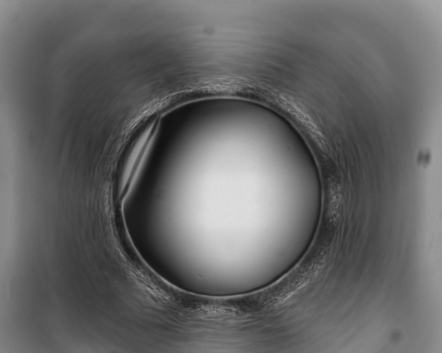 X0000100200681200806061323