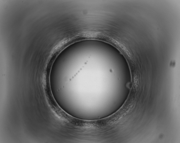 X0000100200682200806061323