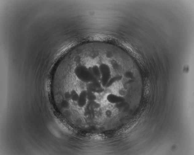 X0000100200683200806061323