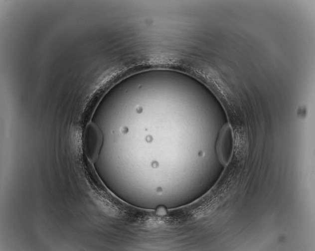 X0000100200684200806061323