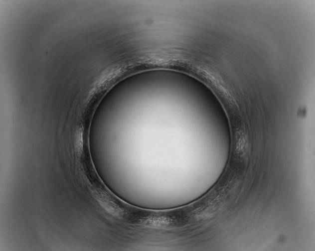 X0000100200685200806061323