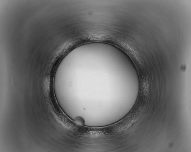 X0000100200686200806061323