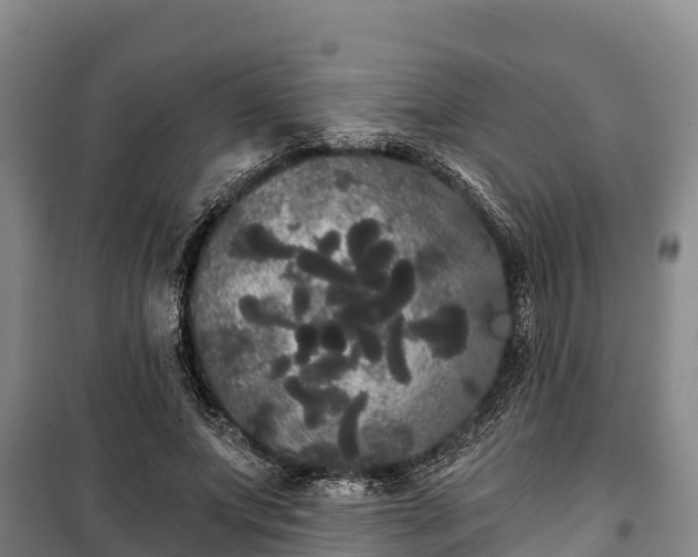 X0000100200687200806061323