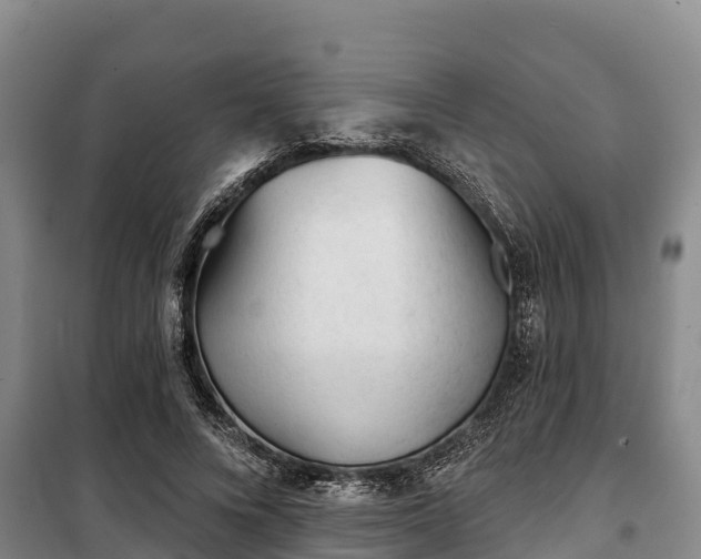 X0000100200688200806061323