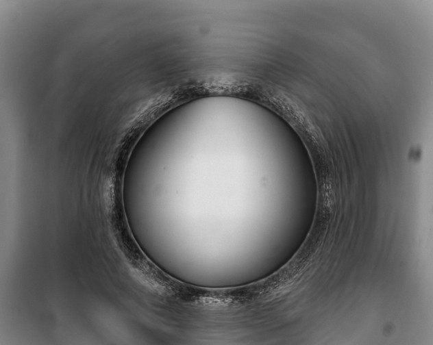 X0000100200690200806061323