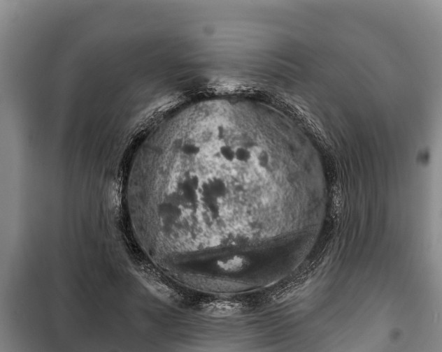 X0000100200691200806061323