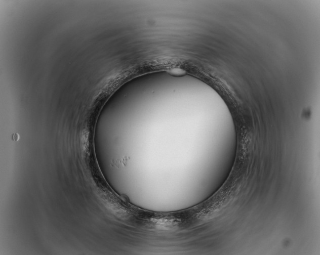 X0000100200693200806061323