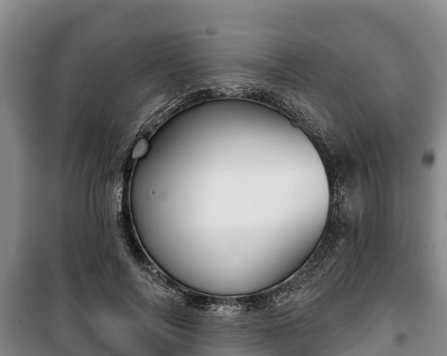 X0000100200694200806061323