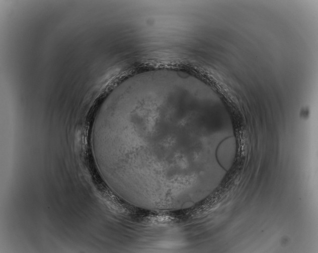 X0000100200695200806061323