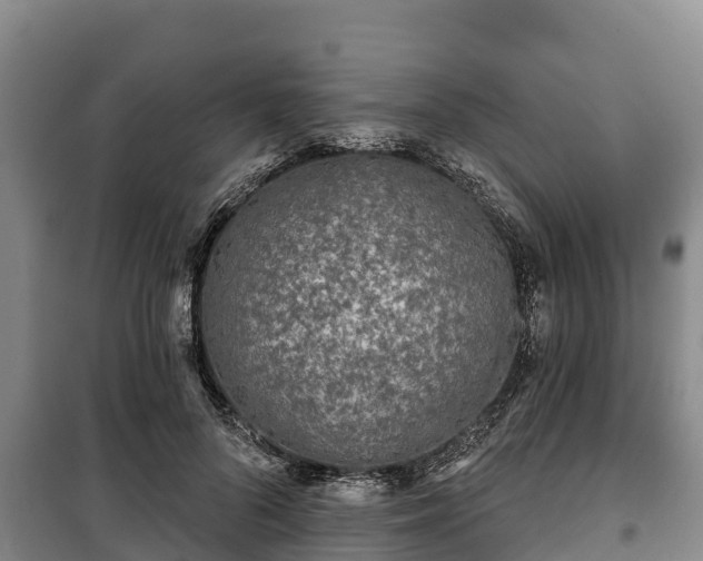 X0000100200696200806061323