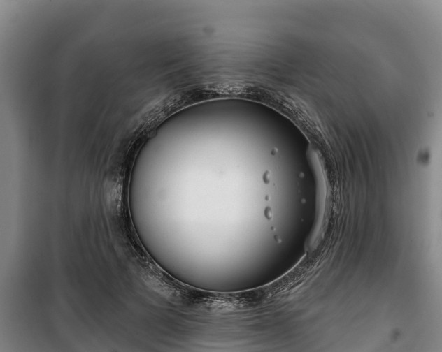 X0000100200697200806061323