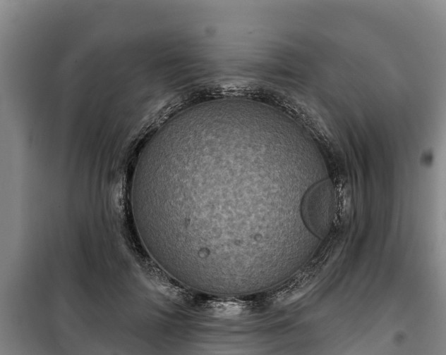 X0000100200698200806061323