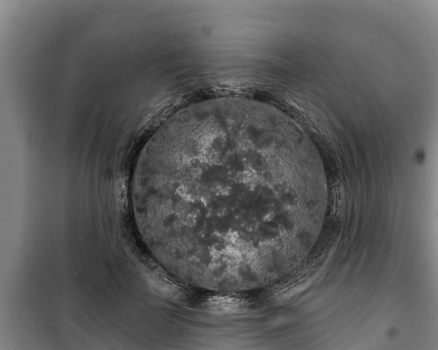 X0000100200699200806061323