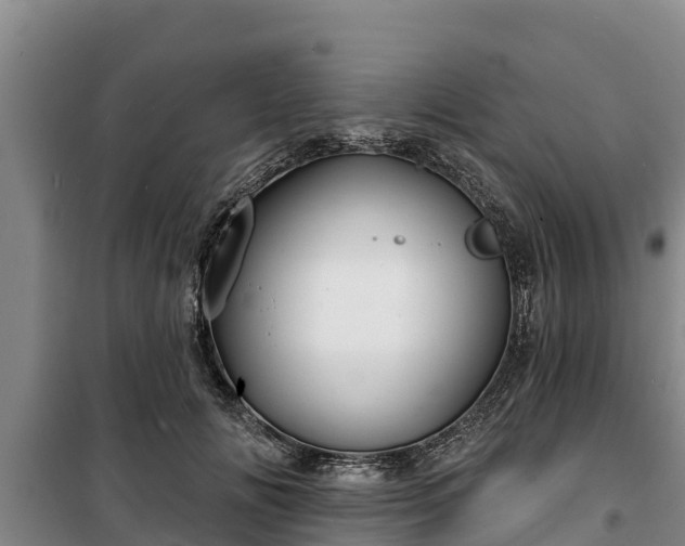 X0000100200702200806061322