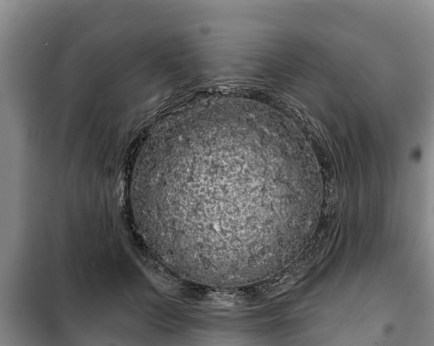 X0000100200703200806061322