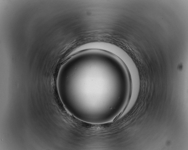 X0000100200704200806061322