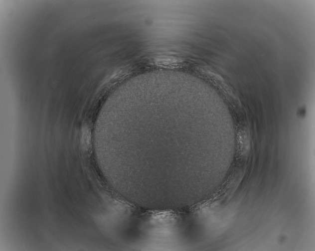 X0000100200705200806061322