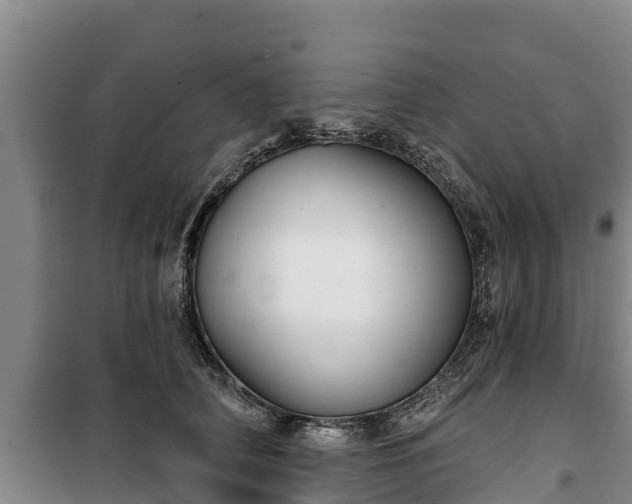 X0000100200706200806061322