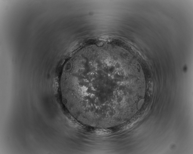 X0000100200707200806061322