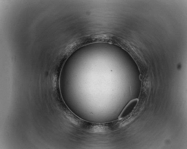 X0000100200708200806061322