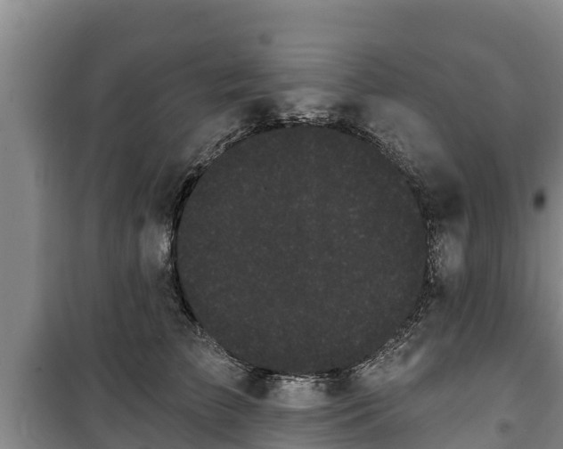 X0000100200709200806061322