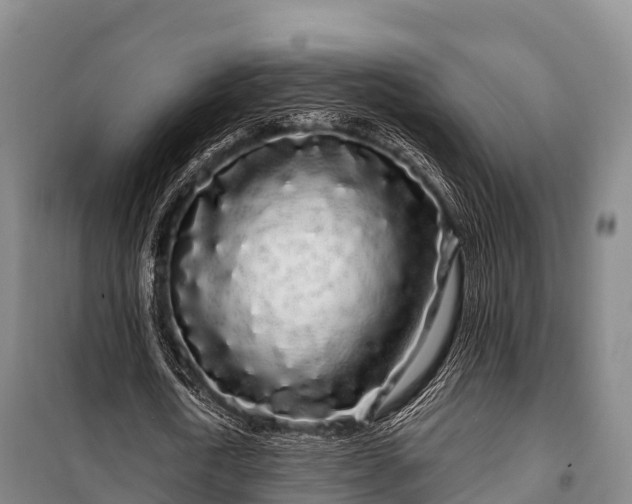 X0000100200722200806061321