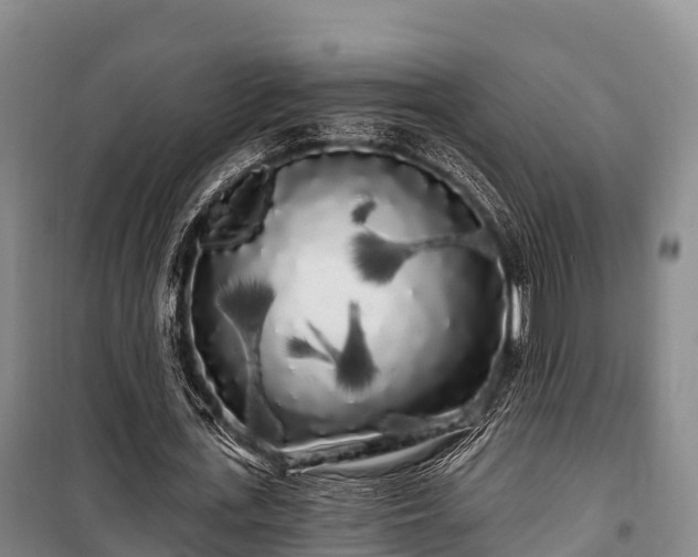 X0000100200723200806061321